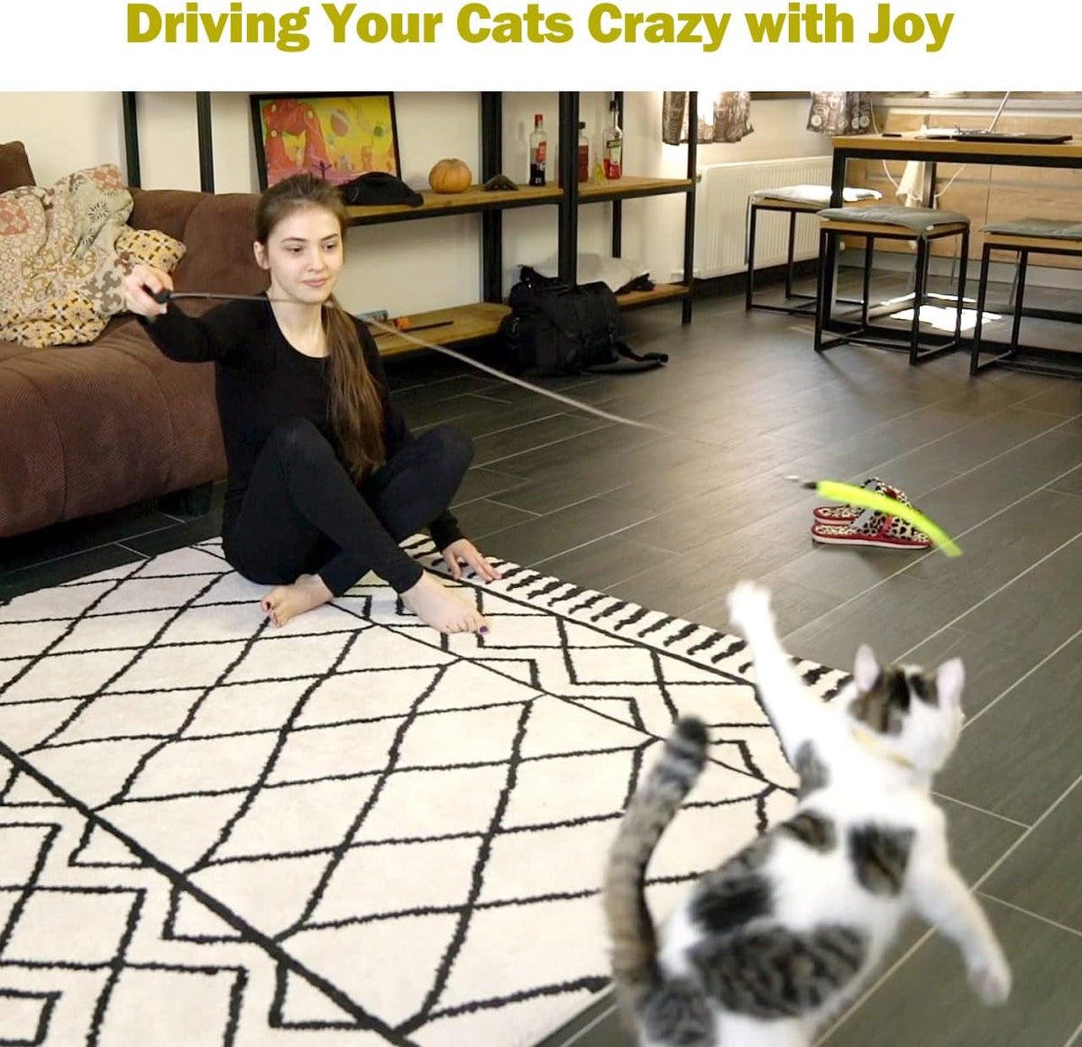 Retractable Feather Wand Cat Toy Set