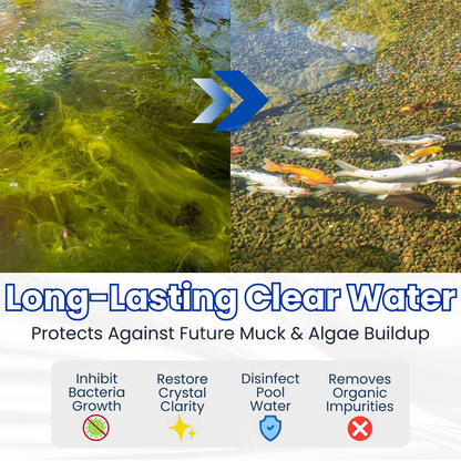 🔥Last Day 50% OFF Alisanda® ClearWater Rescue Formula🐟 From Swampy Green to Crystal Clear – Without the Chemicals