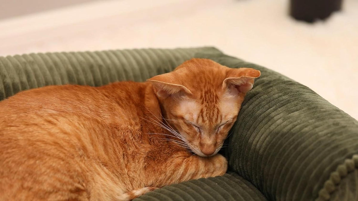 Corduroy Pet Sofa Bed with Washable Cover