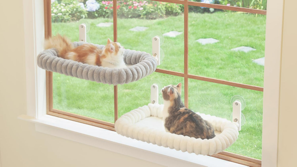 Foldable Cat Window Perch with Washable Bolster Bed
