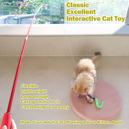 Retractable Feather Wand Cat Toy Set