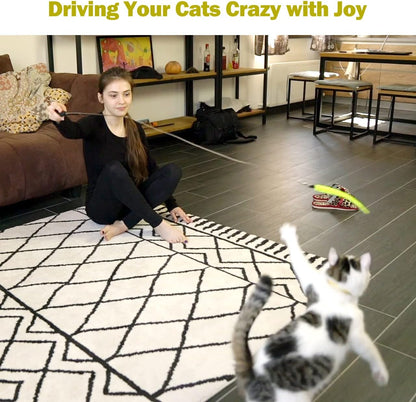Retractable Feather Wand Cat Toy Set